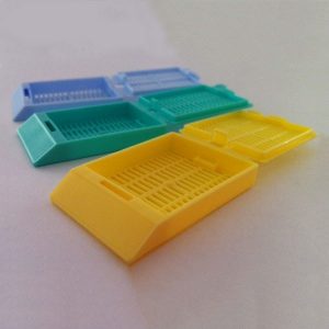 Histology disposable