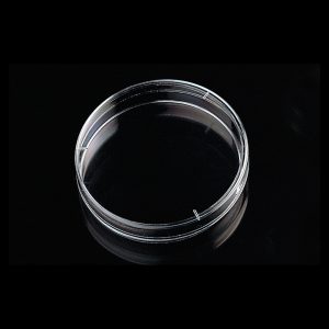 Petri dishes