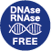 DNAse and RNAse free